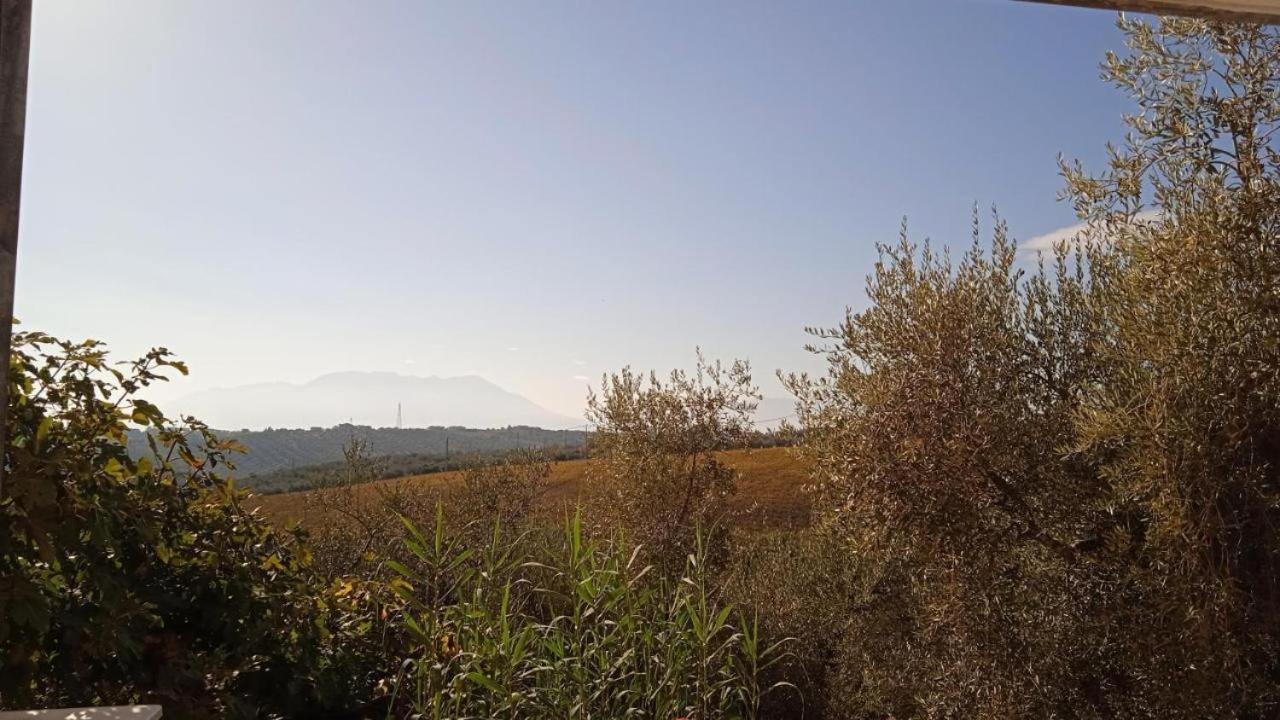 Casa Lunaria Moscufo Εξωτερικό φωτογραφία