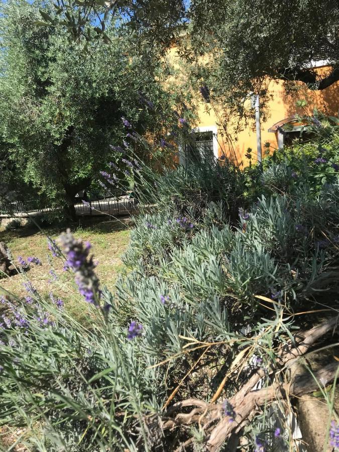 Casa Lunaria Moscufo Εξωτερικό φωτογραφία
