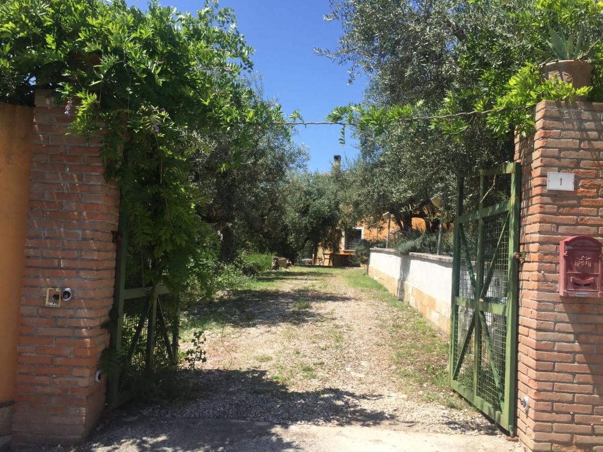 Casa Lunaria Moscufo Εξωτερικό φωτογραφία