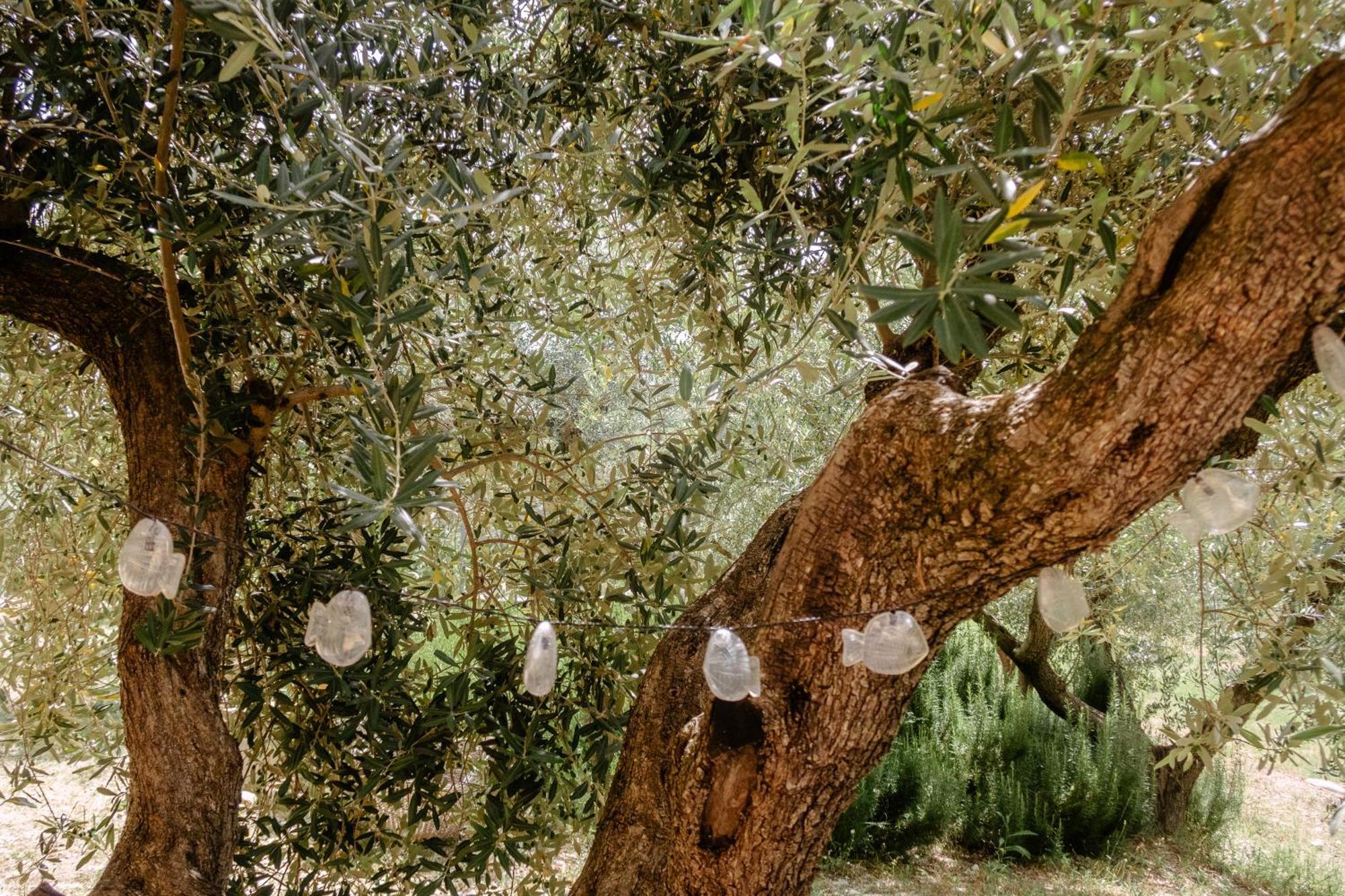 Casa Lunaria Moscufo Εξωτερικό φωτογραφία