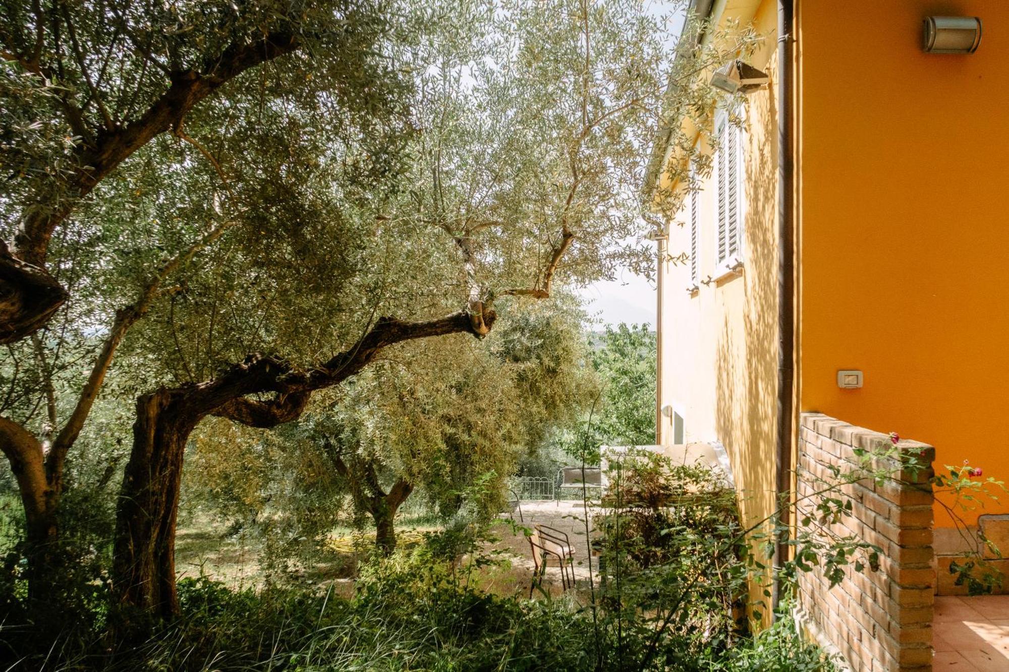 Casa Lunaria Moscufo Εξωτερικό φωτογραφία