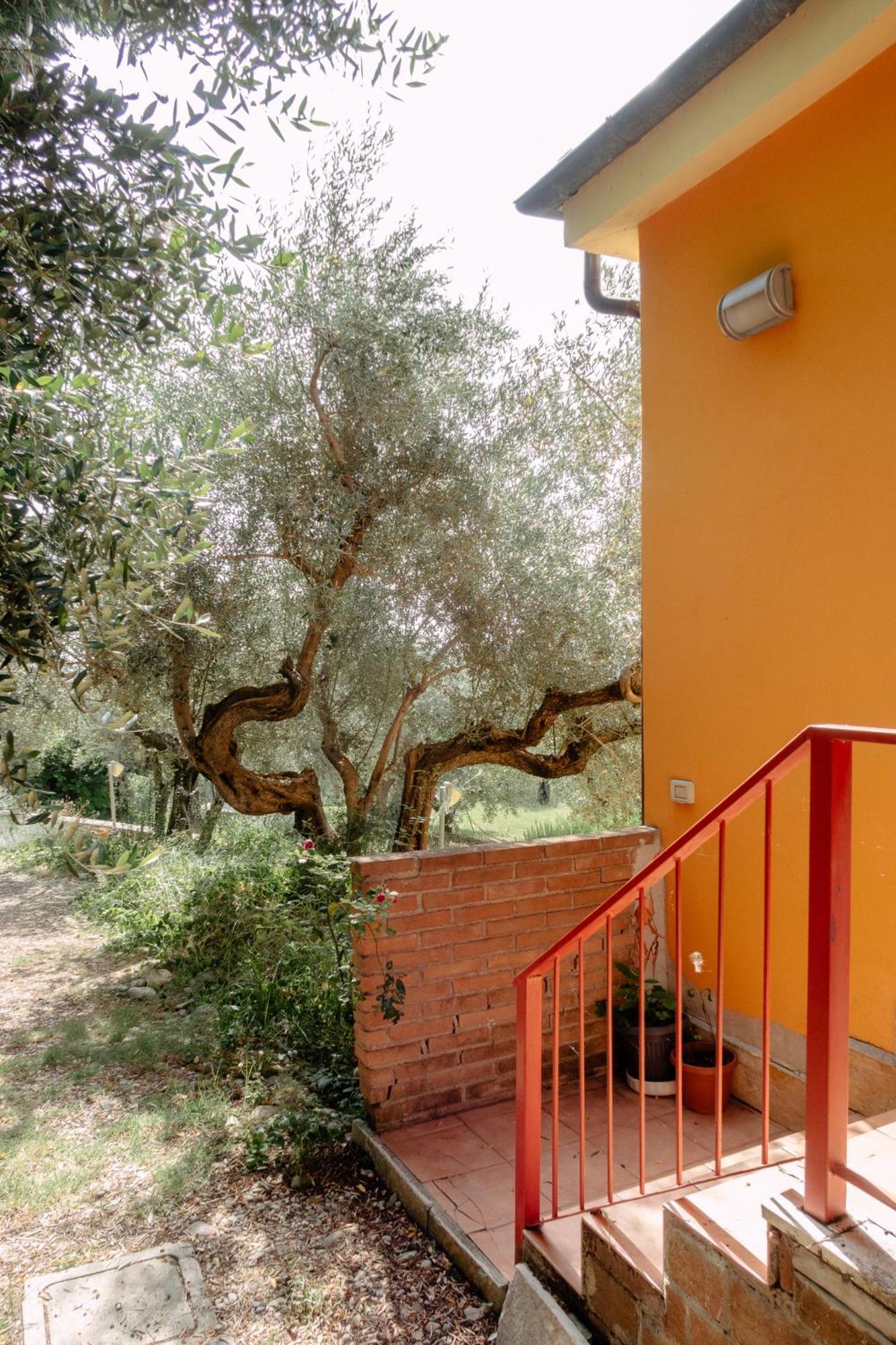 Casa Lunaria Moscufo Εξωτερικό φωτογραφία